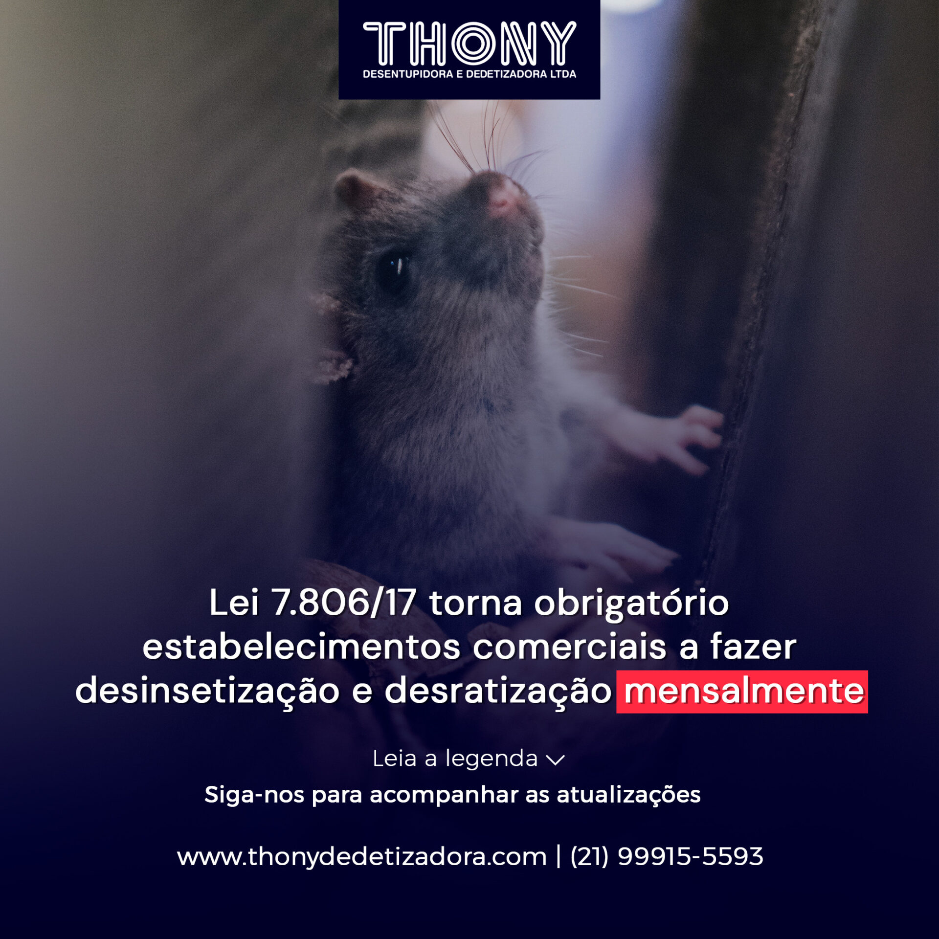 Thony 12.03 2 Lei Dedetizacao