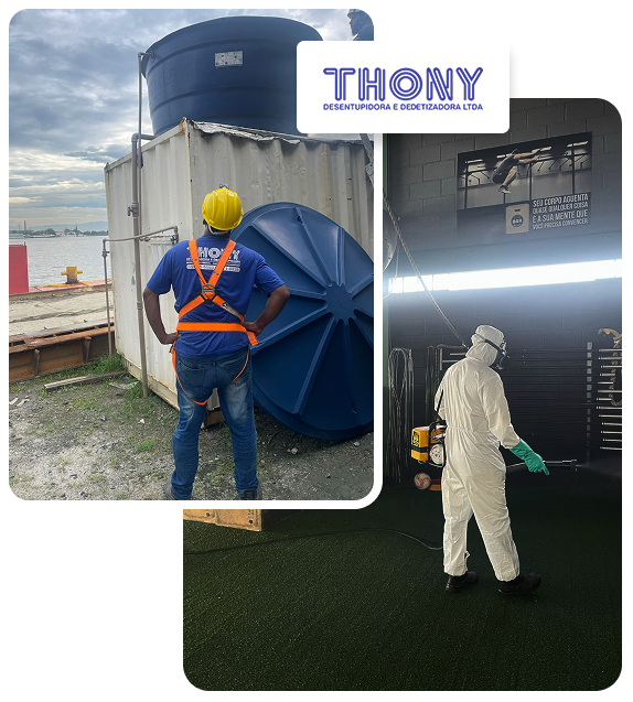 thony-dedetizadora-ig